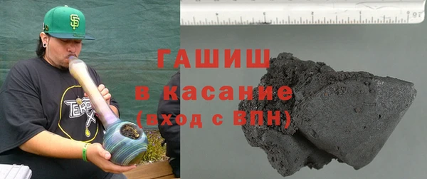 индика Белокуриха