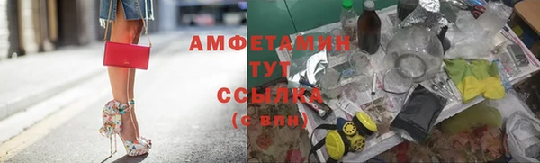 индика Богородск