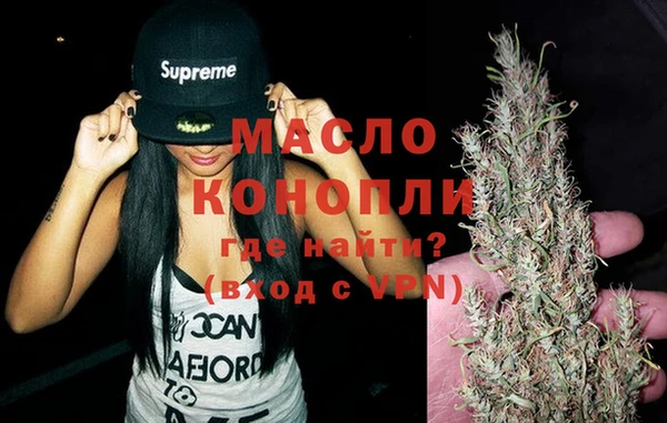 индика Богородск