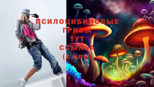 индика Богородск