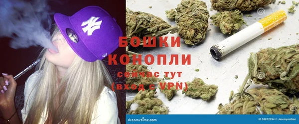 индика Белокуриха
