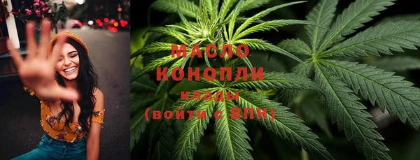 индика Белокуриха