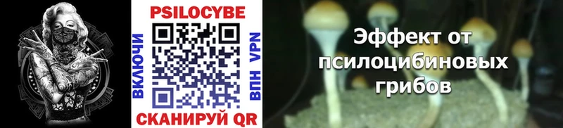 где купить наркотик  Ейск  Галлюциногенные грибы Cubensis 