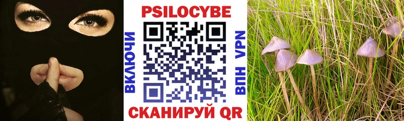 Галлюциногенные грибы Magic Shrooms Ейск